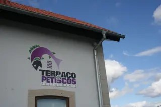 Interior e pratos do Terraço dos Petiscos em Barcelos, Barcelos (8)