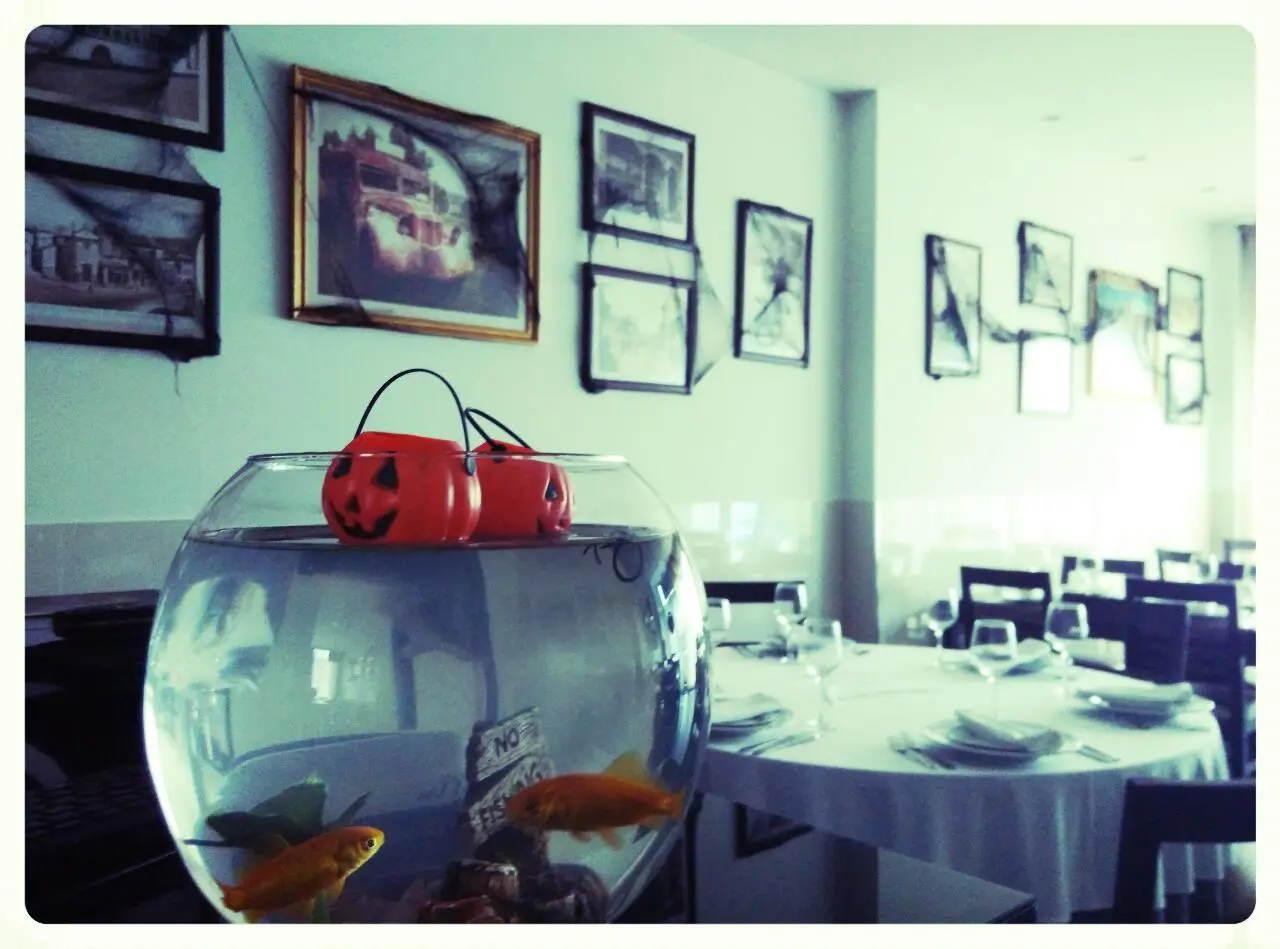 Interior e pratos do Tasquinha Canudo em Braga, Braga (7)